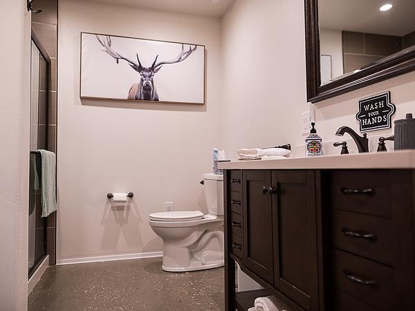 Beautiful apartment, king size bed, and fast WiFi! Unit B